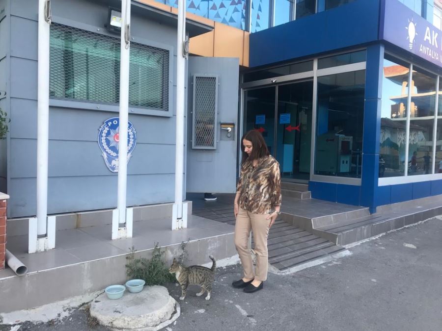 AK PARTİLİ ÖZÇAY; 