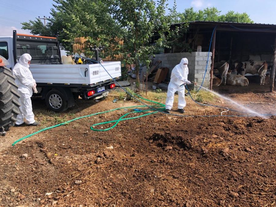 SİNEKLE MÜCADELE TAM GAZ DEVAM EDİYOR
