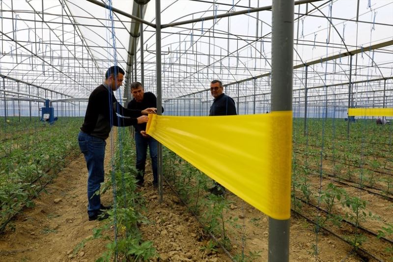 Büyükşehir üreticinin yüzünü güldürmeye devam ediyor